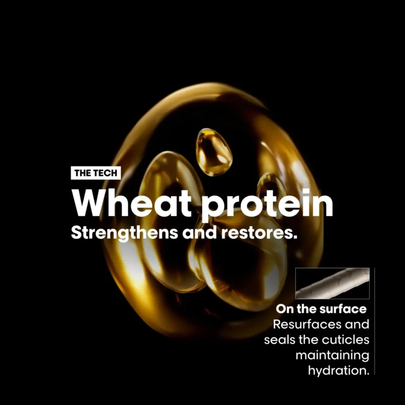 absolute-repair-tech.