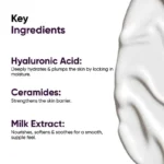 Plump and Glow Moisturizing Cream - Image 4