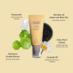 haruharu wonder Black Rice Daily Sunscreen - 50ml - Image 2