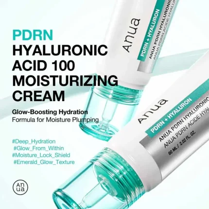 anua-pdrn-hyaluronic-acid-100-moisturizing-cream-1